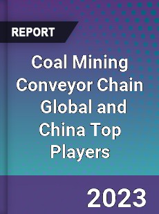 Coal Mining Conveyor Chain Global and China Top Players Market