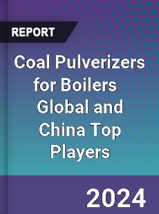 Coal Pulverizers for Boilers Global and China Top Players Market