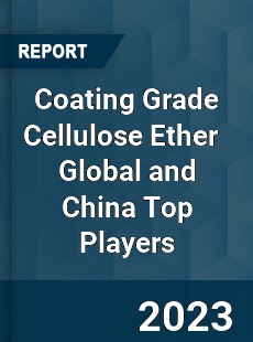 Coating Grade Cellulose Ether Global and China Top Players Market