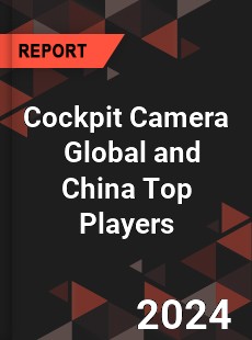 Cockpit Camera Global and China Top Players Market