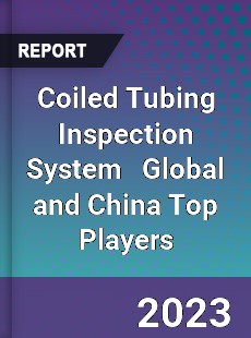 Coiled Tubing Inspection System Global and China Top Players Market