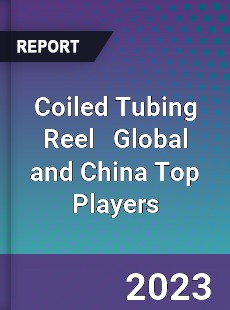 Coiled Tubing Reel Global and China Top Players Market