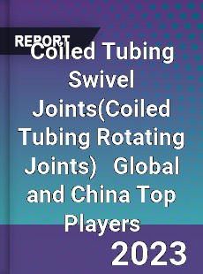 Coiled Tubing Swivel Joints Global and China Top Players Market