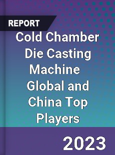 Cold Chamber Die Casting Machine Global and China Top Players Market