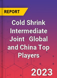 Cold Shrink Intermediate Joint Global and China Top Players Market