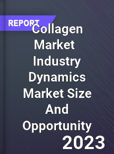 Collagen Market Industry Dynamics Market Size And Opportunity