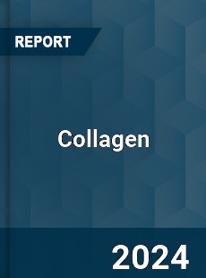 Collagen Market Trends Growth Drivers and Future Outlook