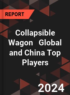 Collapsible Wagon Global and China Top Players Market