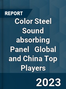 Color Steel Sound absorbing Panel Global and China Top Players Market