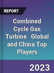 Combined Cycle Gas Turbine Global and China Top Players Market