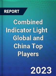 Combined Indicator Light Global and China Top Players Market