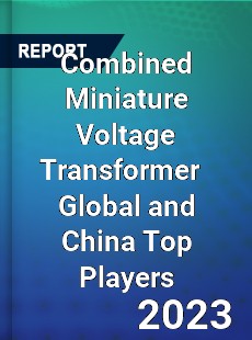 Combined Miniature Voltage Transformer Global and China Top Players Market