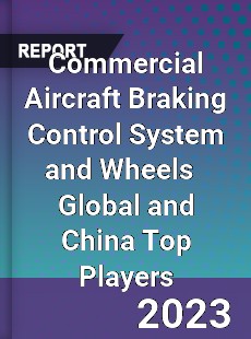 Commercial Aircraft Braking Control System and Wheels Global and China Top Players Market