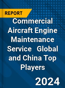 Commercial Aircraft Engine Maintenance Service Global and China Top Players Market