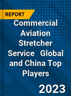 Commercial Aviation Stretcher Service Global and China Top Players Market