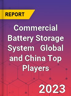 Commercial Battery Storage System Global and China Top Players Market