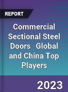 Commercial Sectional Steel Doors Global and China Top Players Market