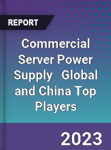 Commercial Server Power Supply Global and China Top Players Market