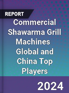 Commercial Shawarma Grill Machines Global and China Top Players Market