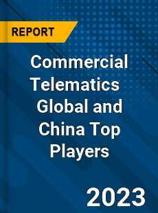 Commercial Telematics Global and China Top Players Market