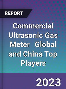 Commercial Ultrasonic Gas Meter Global and China Top Players Market