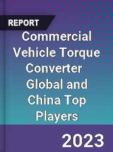 Commercial Vehicle Torque Converter Global and China Top Players Market