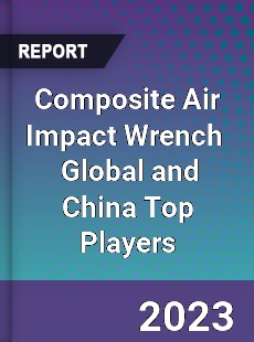 Composite Air Impact Wrench Global and China Top Players Market