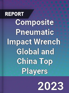 Composite Pneumatic Impact Wrench Global and China Top Players Market