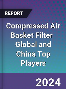 Compressed Air Basket Filter Global and China Top Players Market