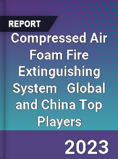 Compressed Air Foam Fire Extinguishing System Global and China Top Players Market