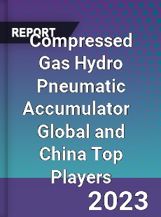 Compressed Gas Hydro Pneumatic Accumulator Global and China Top Players Market