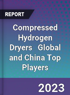 Compressed Hydrogen Dryers Global and China Top Players Market