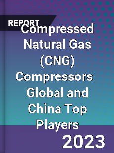 Compressed Natural Gas Compressors Global and China Top Players Market