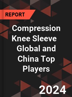 Compression Knee Sleeve Global and China Top Players Market