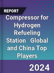 Compressor for Hydrogen Refueling Station Global and China Top Players Market