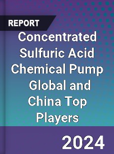 Concentrated Sulfuric Acid Chemical Pump Global and China Top Players Market