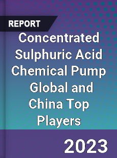 Concentrated Sulphuric Acid Chemical Pump Global and China Top Players Market