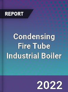 Condensing Fire Tube Industrial Boiler Market