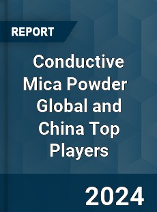 Conductive Mica Powder Global and China Top Players Market