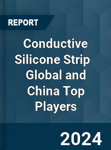 Conductive Silicone Strip Global and China Top Players Market