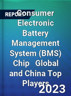 Consumer Electronic Battery Management System Chip Global and China Top Players Market