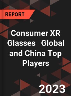 Consumer XR Glasses Global and China Top Players Market