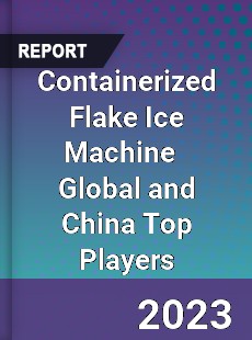 Containerized Flake Ice Machine Global and China Top Players Market