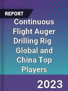 Continuous Flight Auger Drilling Rig Global and China Top Players Market