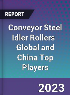 Conveyor Steel Idler Rollers Global and China Top Players Market