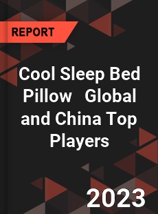 Cool Sleep Bed Pillow Global and China Top Players Market