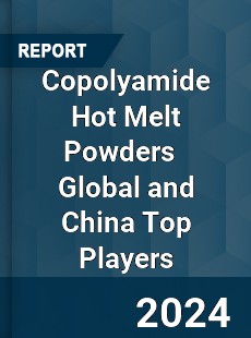 Copolyamide Hot Melt Powders Global and China Top Players Market