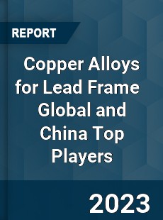 Copper Alloys for Lead Frame Global and China Top Players Market