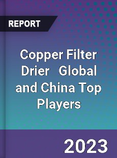 Copper Filter Drier Global and China Top Players Market