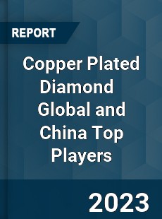 Copper Plated Diamond Global and China Top Players Market